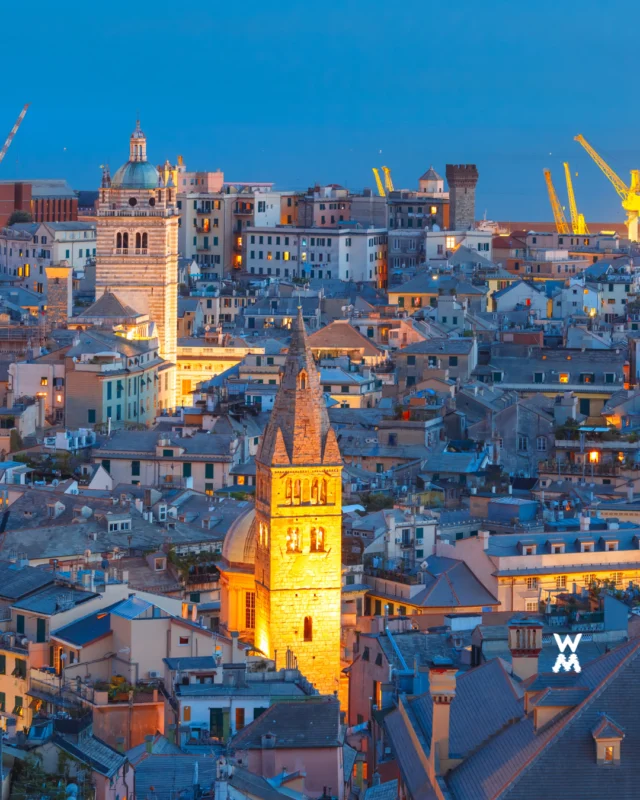 Have you ever been to Genoa? ⁠
⁠
With a rich maritime history, Genoa, or Genova in Italian, has been a major Mediterranean power since the Middle Ages. As a powerful republic, the coastal city played a crucial role in international trade, exploration, and finance, and it was home to iconic figures like Christopher Columbus. Its strategic location fostered the growth of a thriving port, making it one of Italy’s key gateways to the world. The city’s architectural and cultural heritage, including its medieval streets and palaces, reflects its historic significance and enduring influence in European history.⁠
⁠
#genovawaterfrontmarina #genoasuperyachthub #weareamico  #yachtmarina #yachtberth #yachts #yachting #yachtlife #yachtcrew #yachtwork #superyachtcrew #crewlife #yachtcrewlife #portsofgenoa #genoamarina #marina #marinalife ⁠
⁠